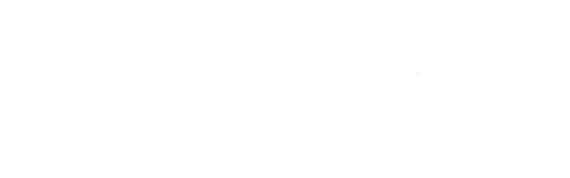 Chip Hosting